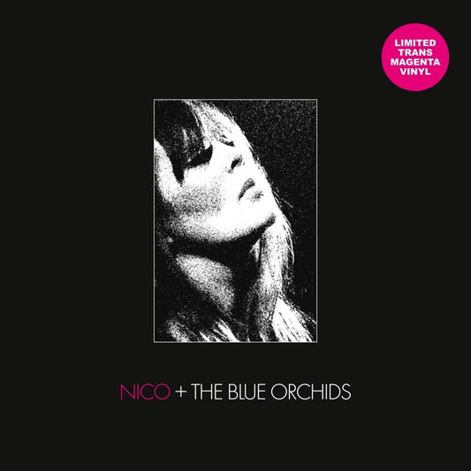 NICO + THE BLUE ORCHIDS - Live and In Session 1982