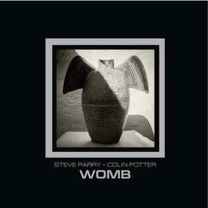 PARRY/COLIN POTTER, STEVE - Womb
