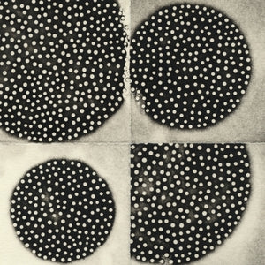 LEIMER, K. - Resting Forms