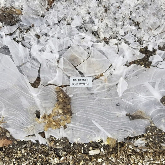 BARNES, TIM - Lost Words