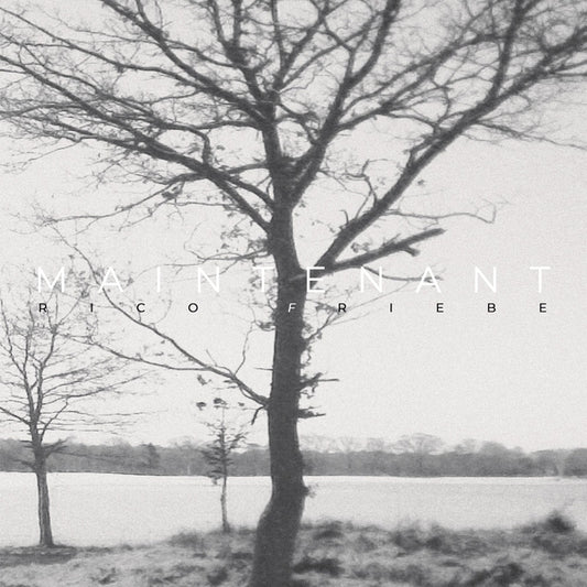 FRIEBE, RICO - Maintenant