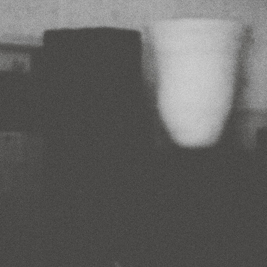 MERZBOW - The Prosperity Of Vice, The Misfortune Of Virtue