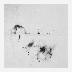 NAKAJIMA + DAVID TOOP, RIE - Is Spring A Sculpture?