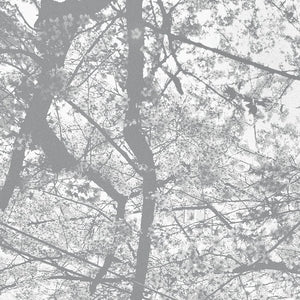 BLACK RAIN - Obliteration Bliss