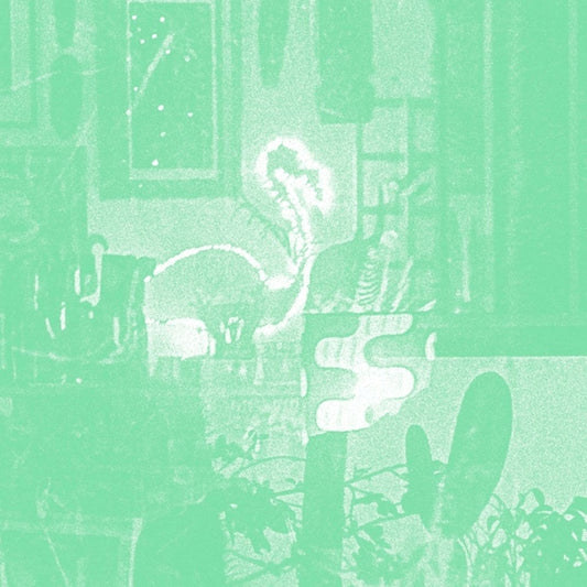 COOPER, MIKE - Stochastic Parrot