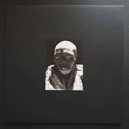 STENKA BAZIN - Guanajuato
