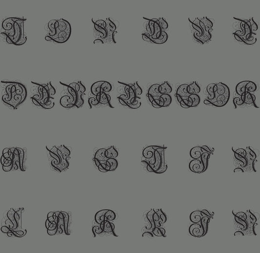 TONGUE DEPRESSOR + AUSTIN LARKIN - Tongue Depressor + Austin Larkin