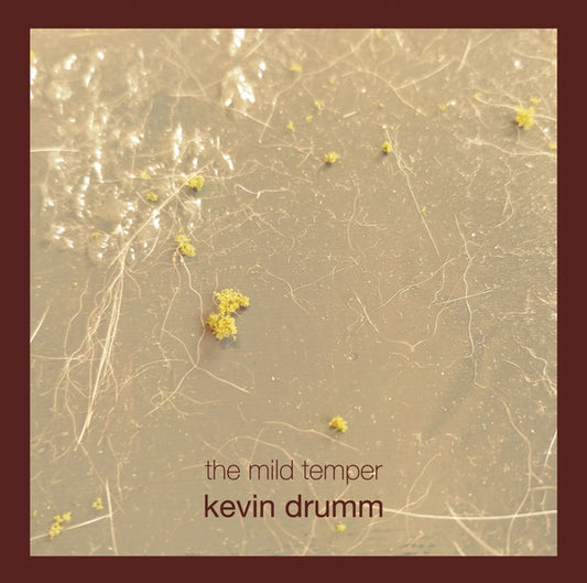 DRUMM, KEVIN - The Mild Temper