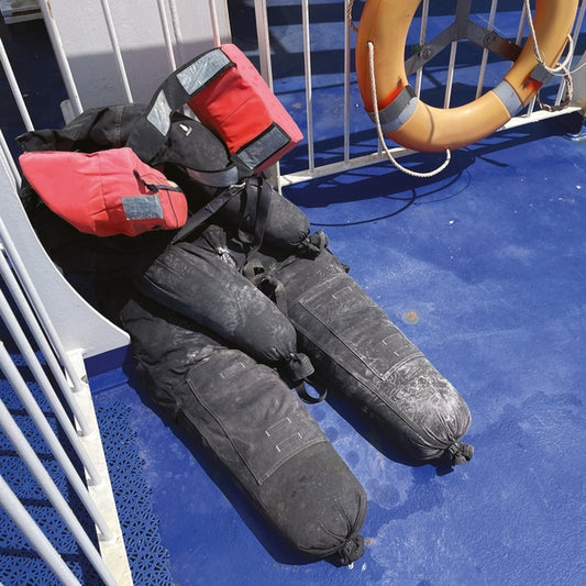 ANKERSMIT, THOMAS - The Dip