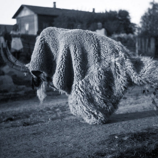 RANDOM GODS - Pneuma