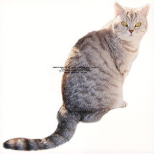 SARTER KIT - What I Am And What I'm Not