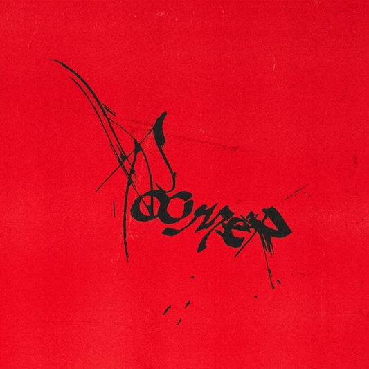 ROOMER - Leaving It All To Chance