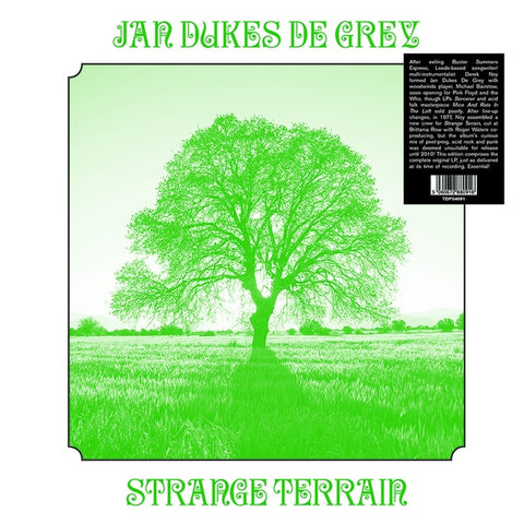 JAN DUKES DE GREY - Strange Terrain