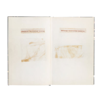 WEINER, LAWRENCE - Terminal Boundaries and A natural water course diverted reduced or displaced