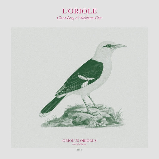 LEVY & STEPHANE CLOR, CLARA - L'Oriole