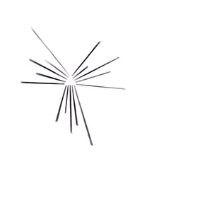 SIX ORGANS OF ADMITTANCE - MariaKapel