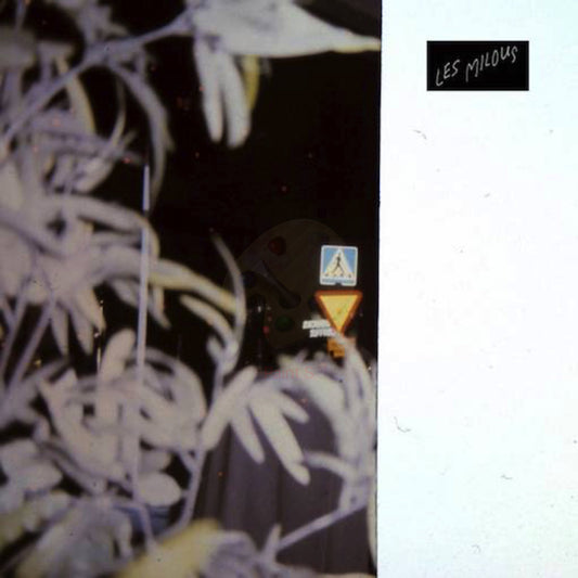 LES MILOUS - Annie Hall / Shampoo Nightclubbing