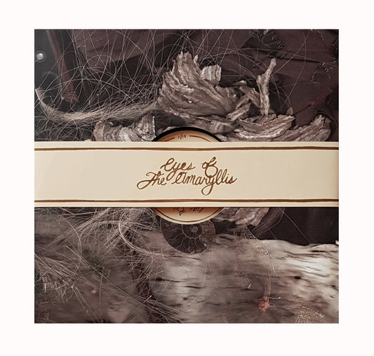 EYES OF THE AMARYLLIS - Sift