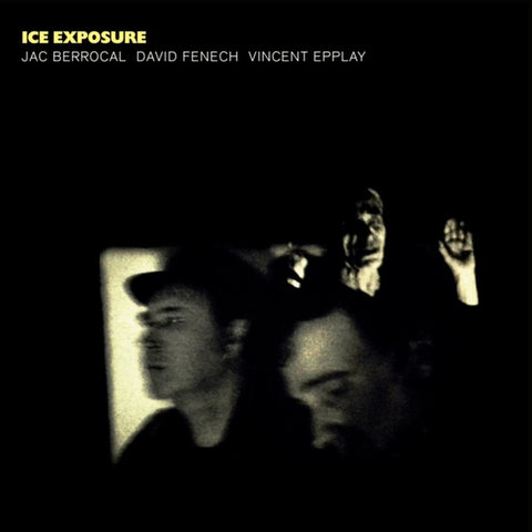 BERROCAL, JAC/DAVID FENECH/VINCENT EPPLAY - Ice Exposure