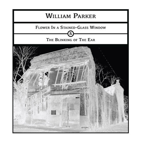 PARKER, WILLIAM - Flower In a Stained-Glass Window & The Blinking of The Ear