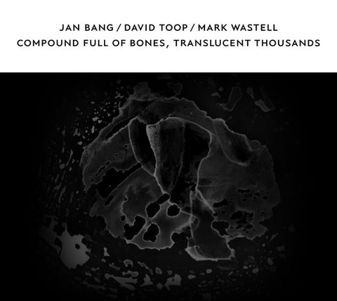 BANG, JAN / TOOP, DAVID / WASTELL, MARK - Compound Full of Bones, Translucent Thousands