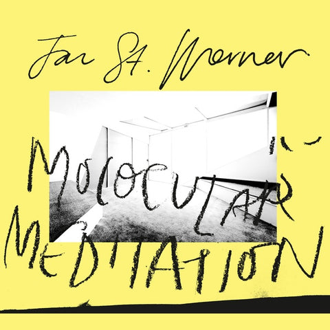 ST. WERNER, JAN - Molocular Meditation