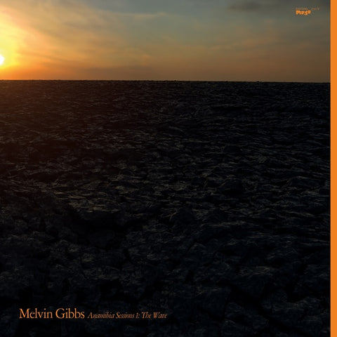 GIBBS, MELVIN - Anamibia Sessions 1: The Wave