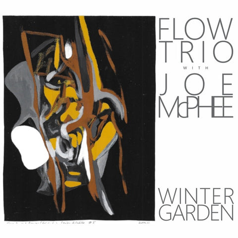 FLOW TRIO WITH JOE MCPHEE - Winter Garden