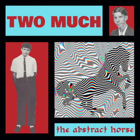 TWO MUCH - The Abstract Horse