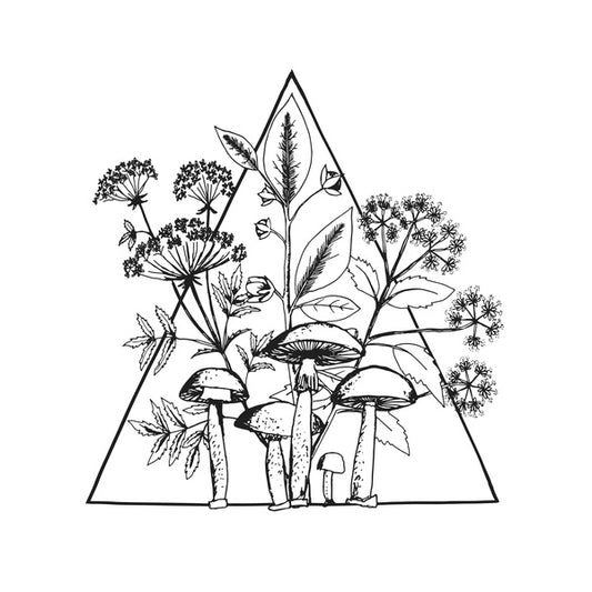 LES CONVERSIONS - Cassette