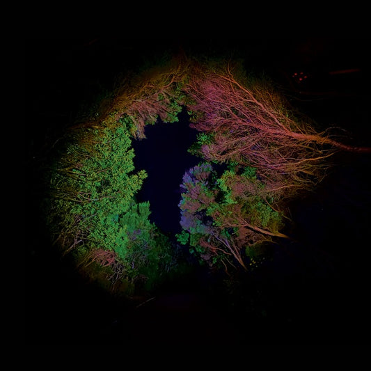 LOPEZ, FRANCISCO - Hidden Island Music (untitled #398)