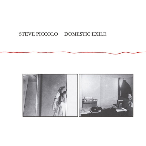 PICCOLO, STEVE - Domestic Exile