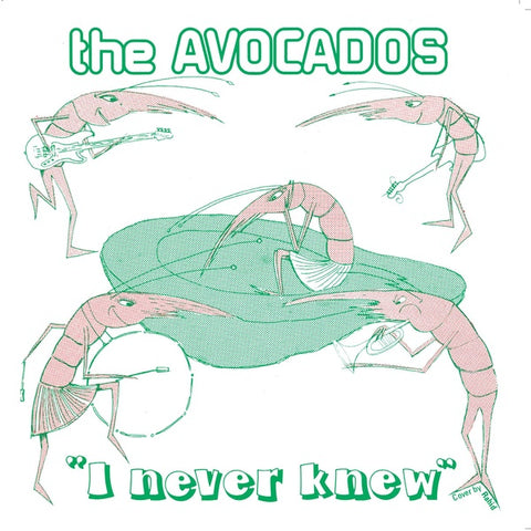 AVOCADOS, THE - I Never Knew