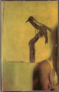 fusetron KUUPUU, Tinakenkalurtta