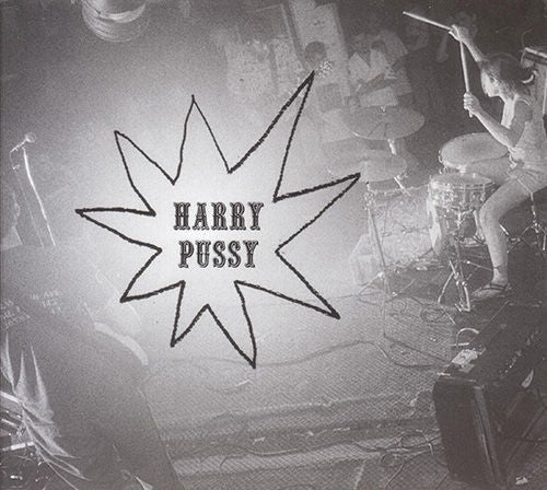 fusetron HARRY PUSSY, Youll Never Play This Town Again