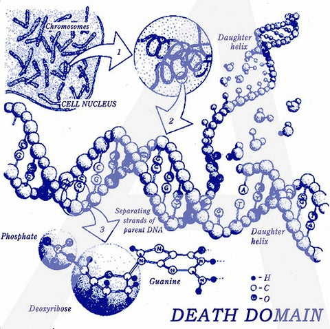 fusetron DEATH DOMAIN, Ethidium Bromide