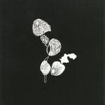 fusetron BURNT HILLS, Tonite We Ride