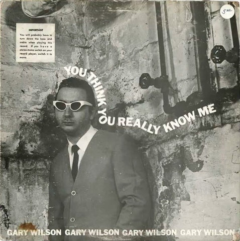 fustron WILSON, GARY, You Think You Really Know Me