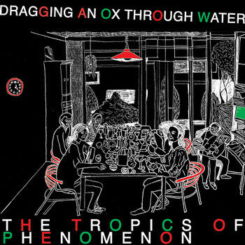DRAGGING AN OX THROUGH WATER - Tropics Of Phenomenom