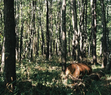 fusetron CABOLADIES, Renewable Destination