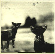 fusetron THAYER, TOM, Tom Thayer