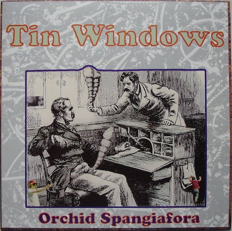 fustron ORCHID SPANGIAFORA, Tin Windows