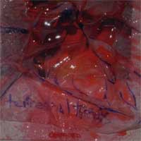 fustron TERRESTRIAL TONES, Oboroed / Circus Lives