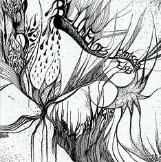 fustron BLUMEN DES EXOTISCHEN EISES, Karawane der Mystiks?