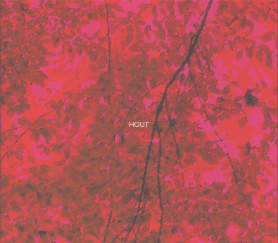 fusetron CROENE, FREDERIK & ESTHER VENROOY, Hout