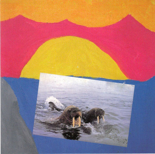 fustron AVARUS, Vesikansi