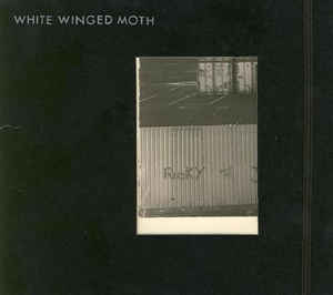 WHITE WINGED MOTH - I Can See Inside Your House