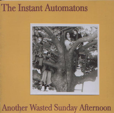 fustron INSTANT AUTOMATONS, Another Wasted Sunday Afternoon