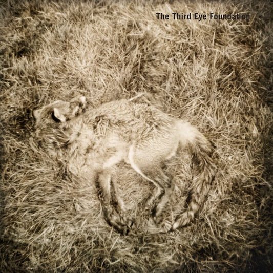 fusetron THIRD EYE FOUNDATION, THE, Semtex (20th Anniversary Edition)