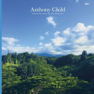 fusetron CHILD, ANTHONY, Electronic Recordings from Maui Jungle Vol. 2